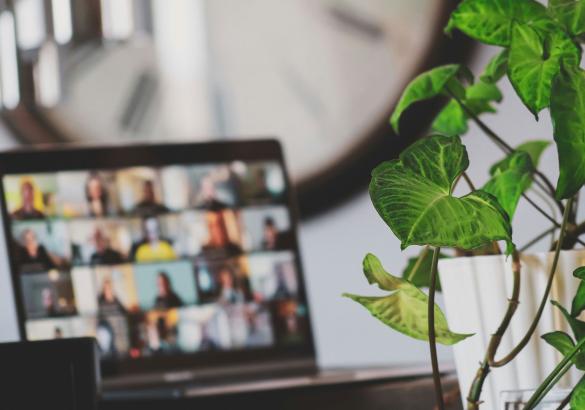 A nice plant in a ceramic pot sits in the foregorund with an open laptop showing a video meeting on in the background