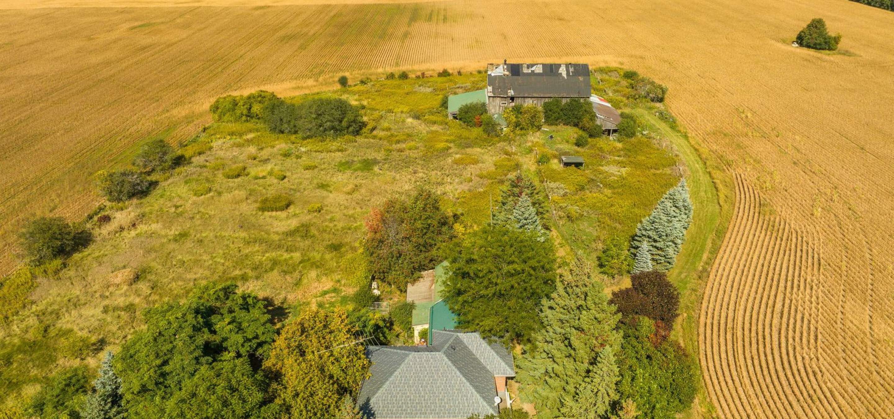Drone shot of well treed lot with old barn and farmhouse in foreground with property surrounded by farmland.