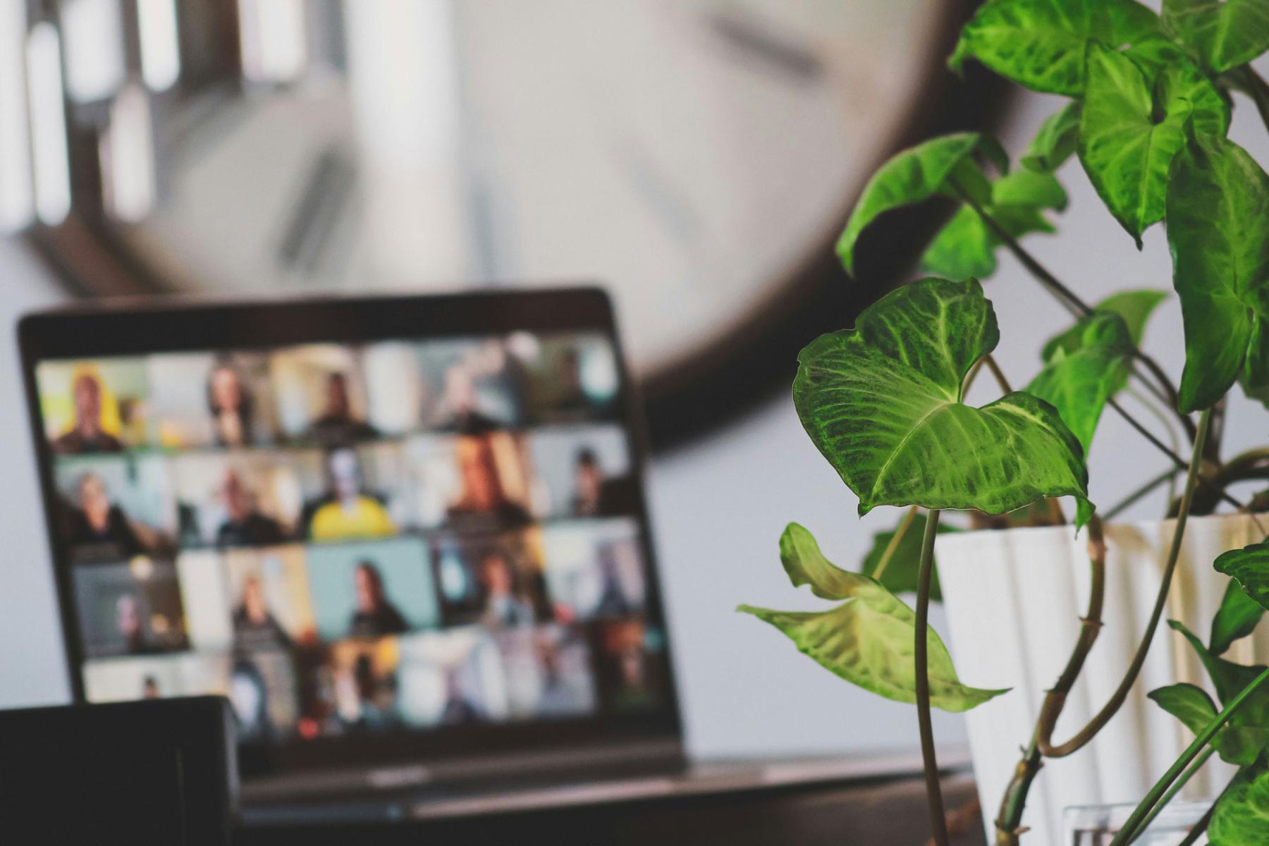 A nice plant in a ceramic pot sits in the foregorund with an open laptop showing a video meeting on in the background